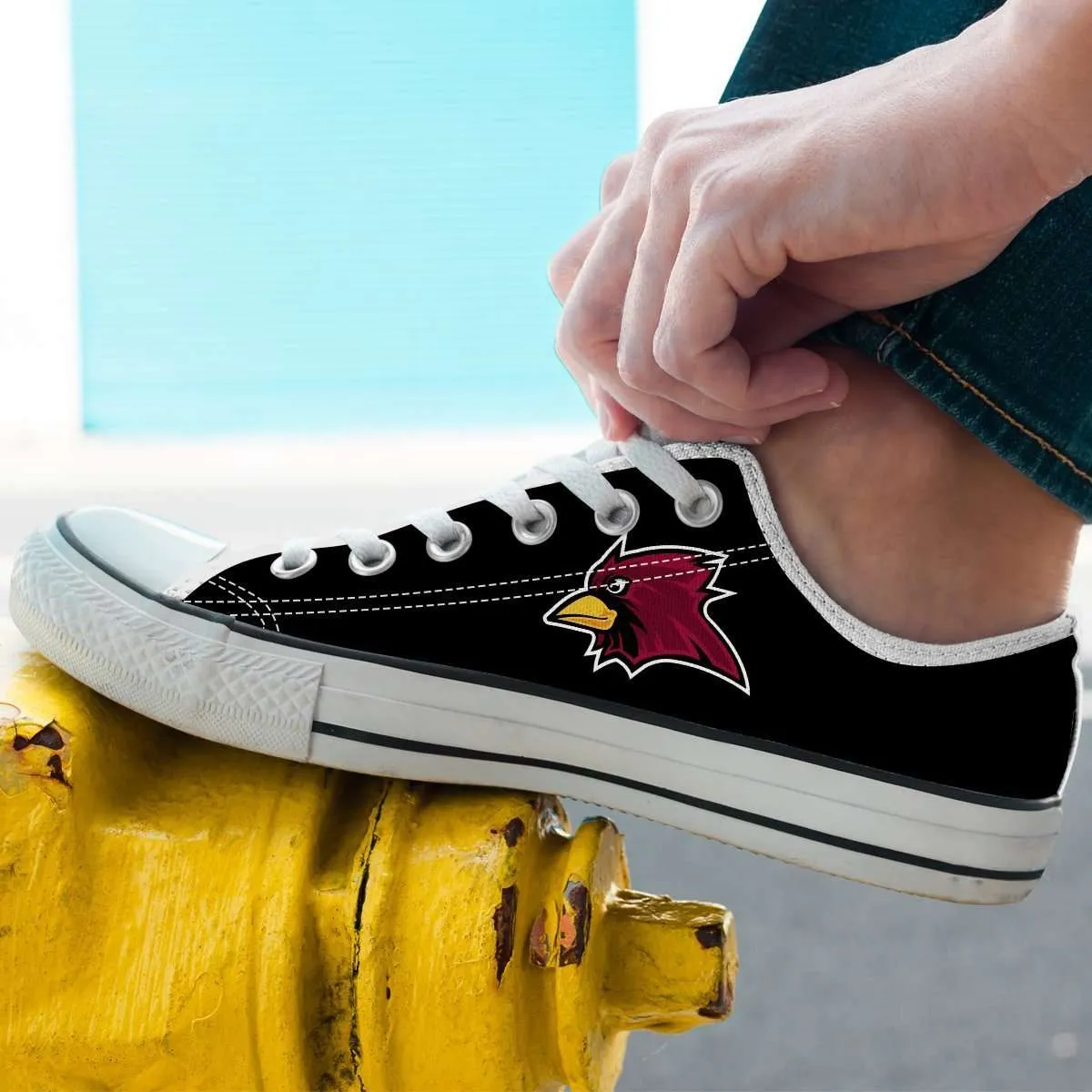 Arizona Cardinals Fan Art Classic Canvas Tennis Shoes